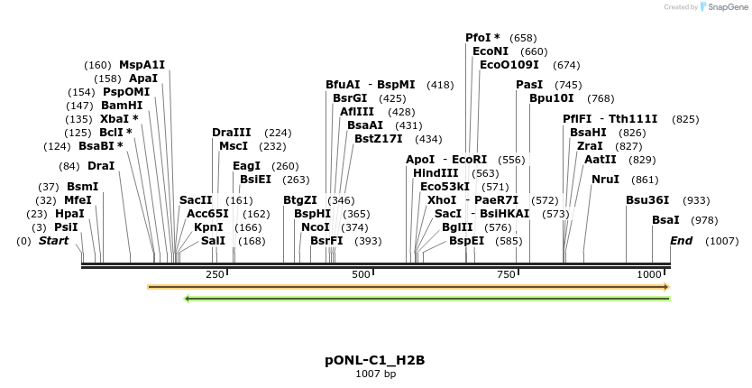 116022_map