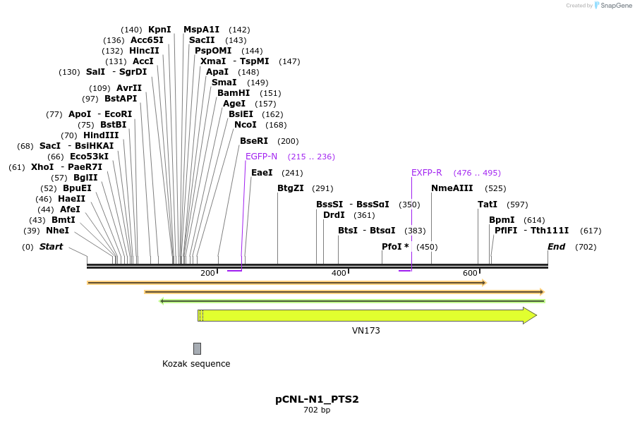 116026_map