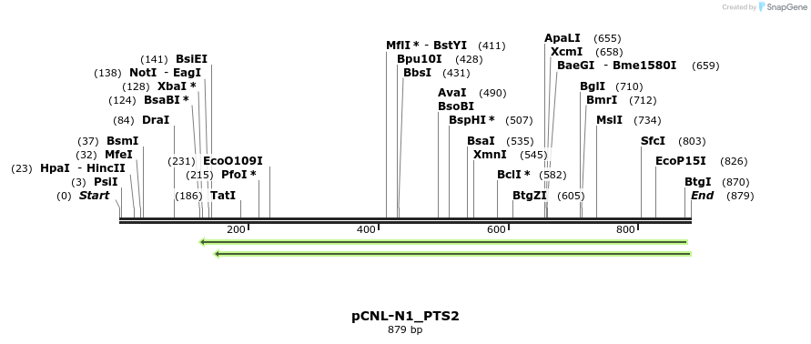 116028_map