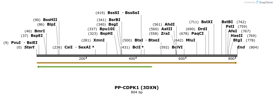 11603_map