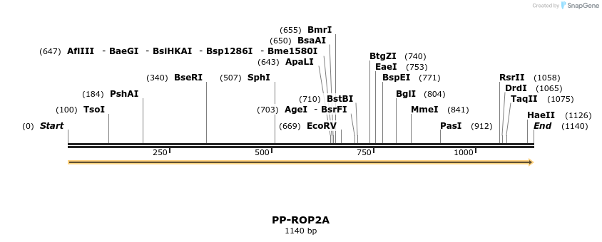 11604_map