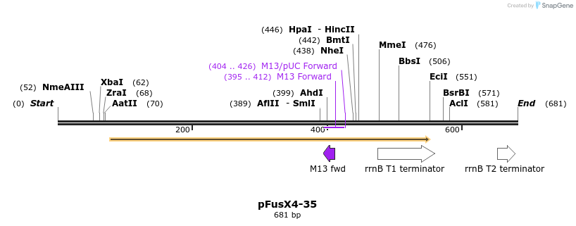 116041_map