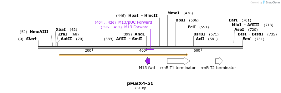 116043_map
