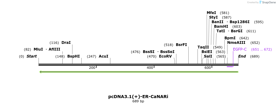 116054_map