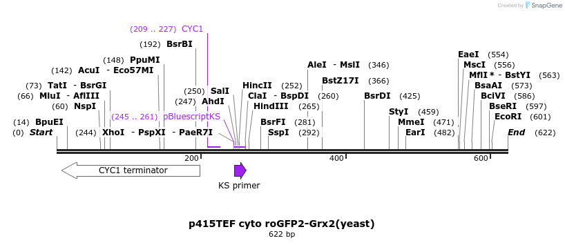 116056_map