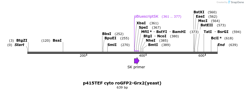 116058_map
