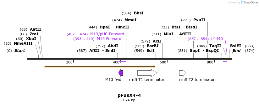 116059_map