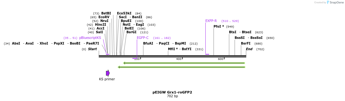 116060_map