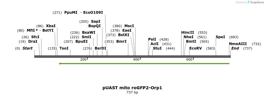 116063_map