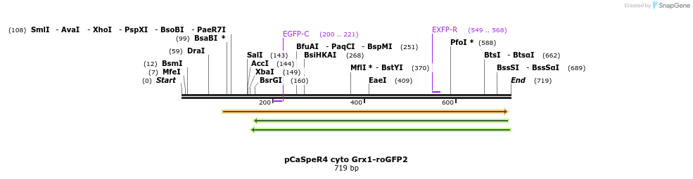 116064_map