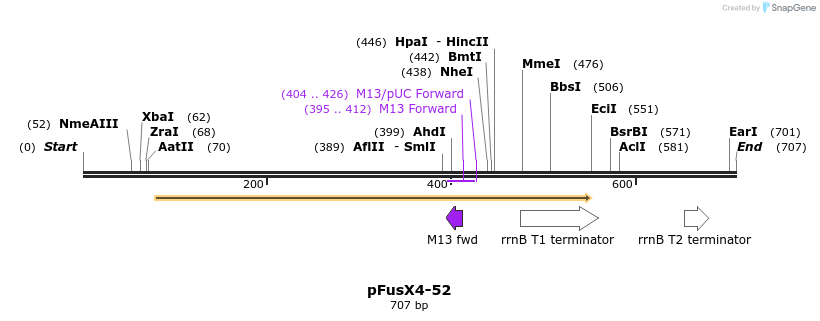 116075_map