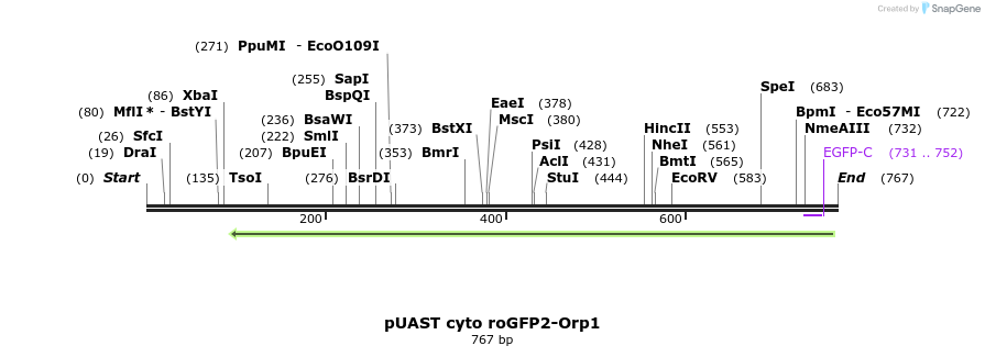 116076_map
