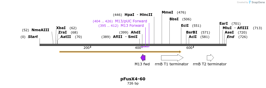 116077_map