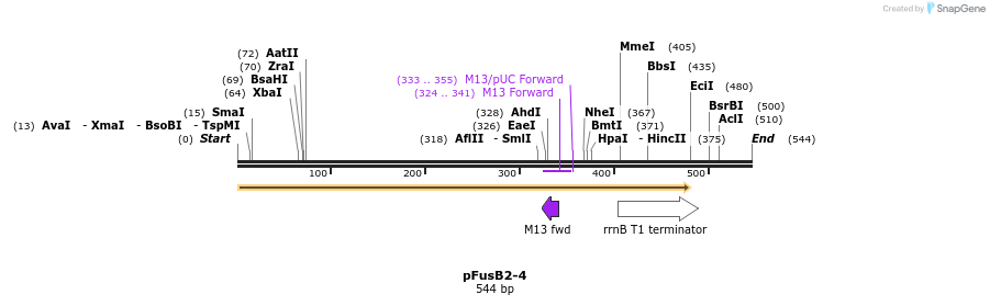 116079_map