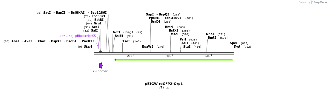 116080_map