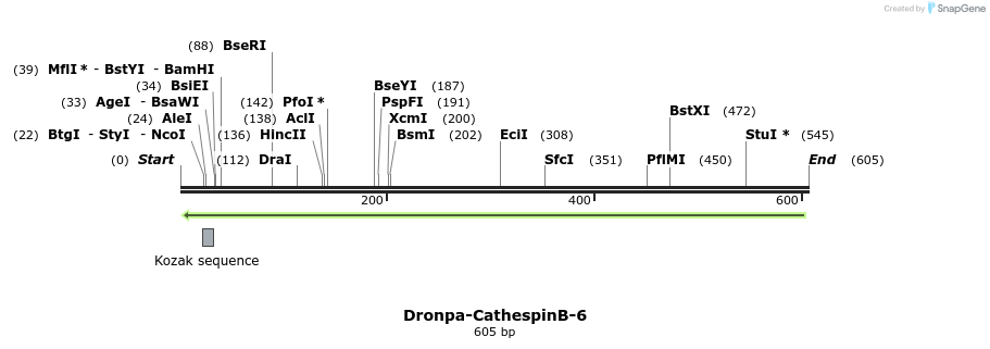 116081_map