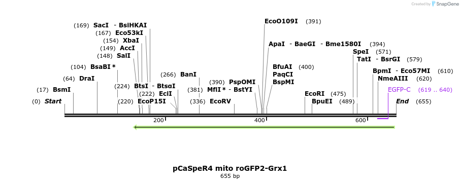 116084_map