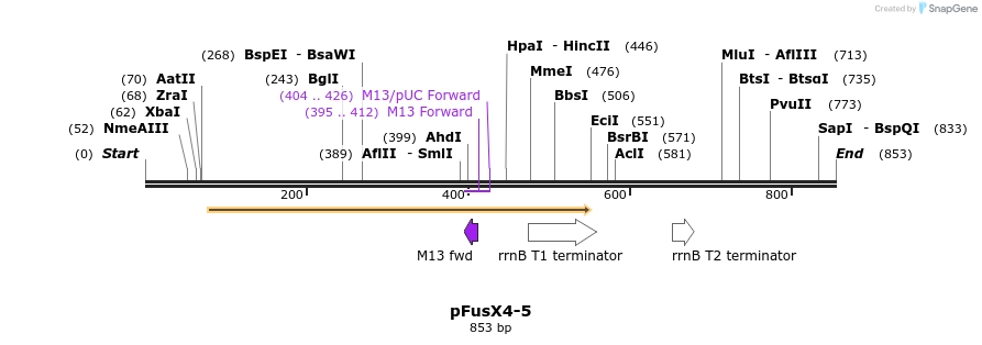 116085_map