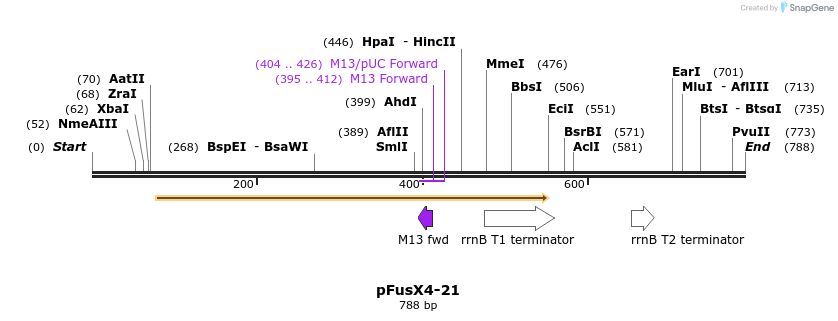 116088_map