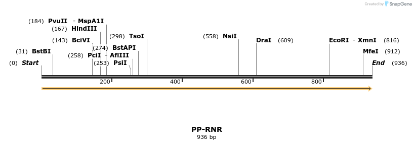 11609_map