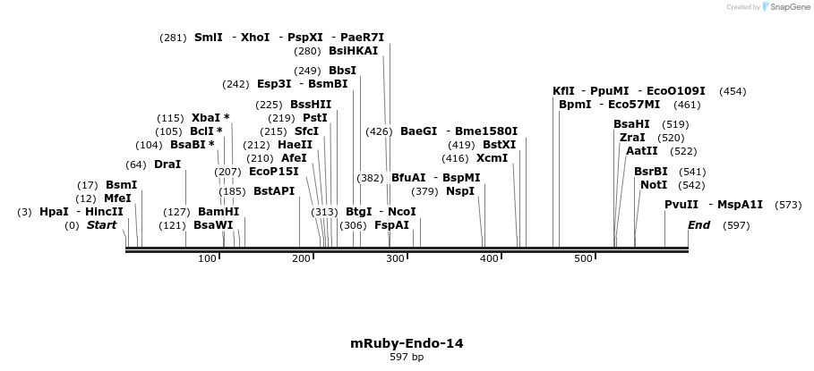 116093_map