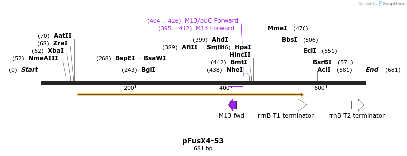 116096_map