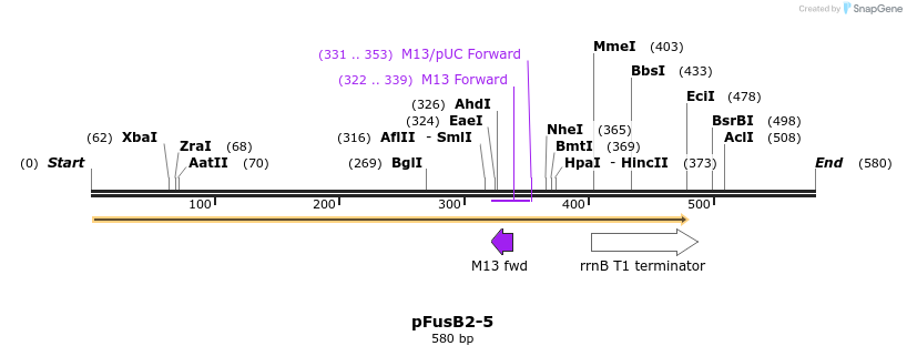 116099_map