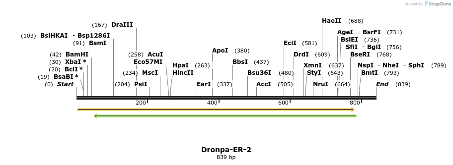 116100_map