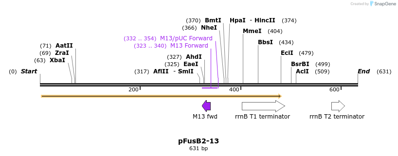 116101_map