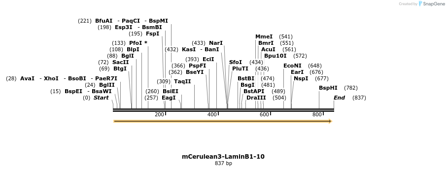 116102_map