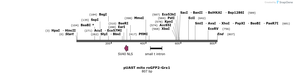 116106_map