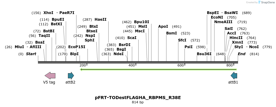 116109_map