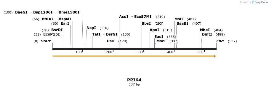 11611_map