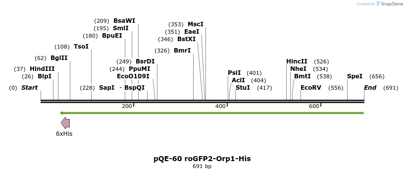 116113_map