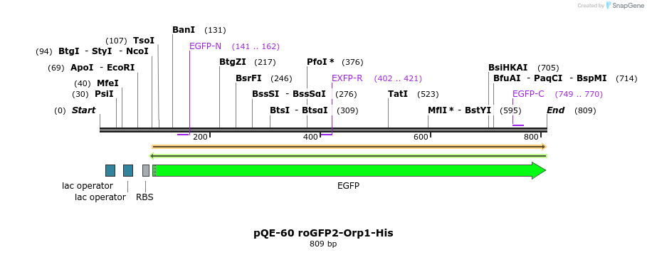 116114_map
