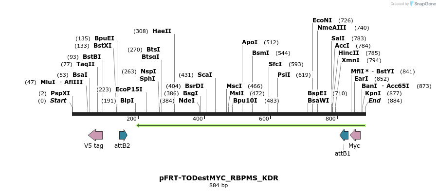 116115_map