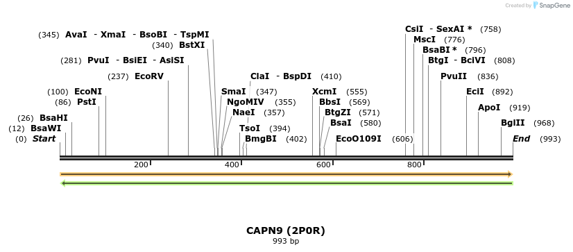 11612_map