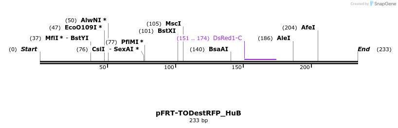 116122_map