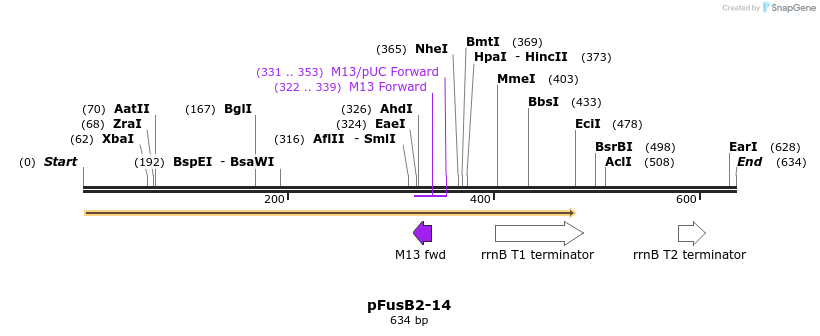 116125_map