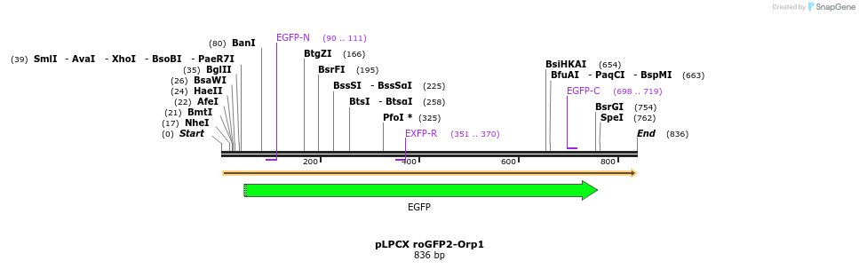 116126_map