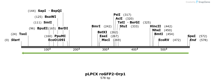 116127_map