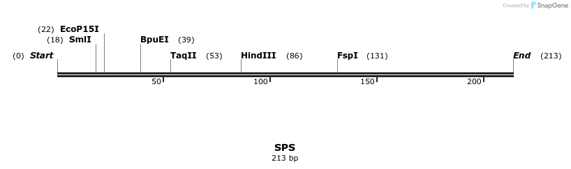 11613_map