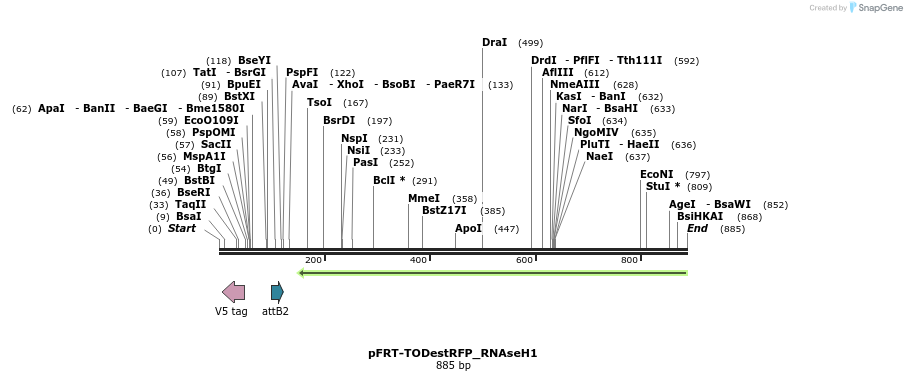 116130_map