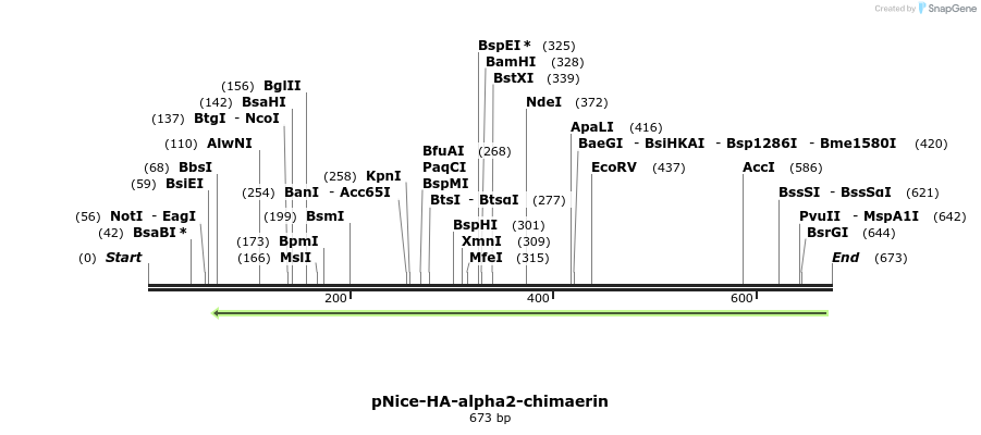 116131_map