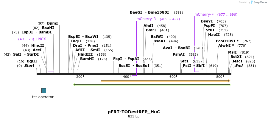 116132_map
