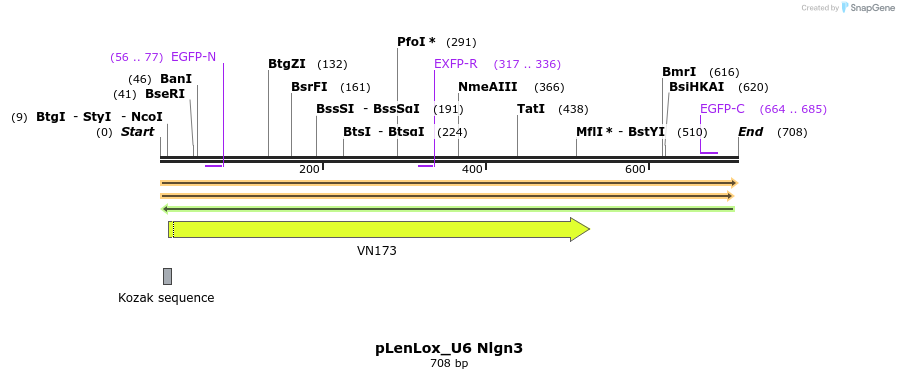116134_map