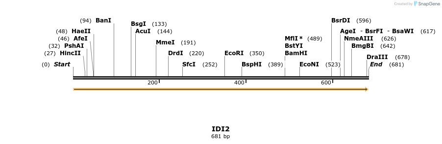 11614_map