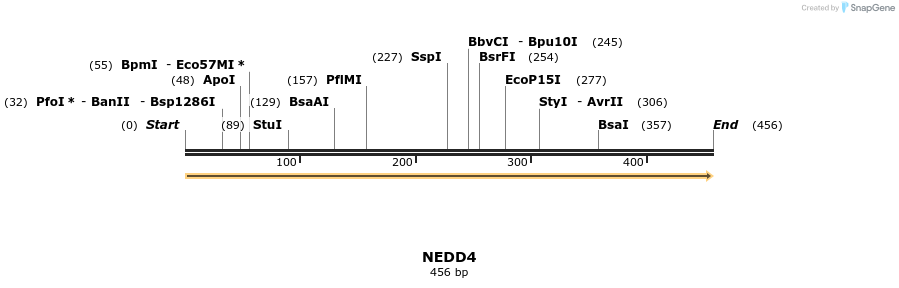 11615_map
