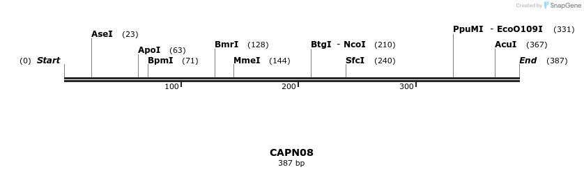 11616_map