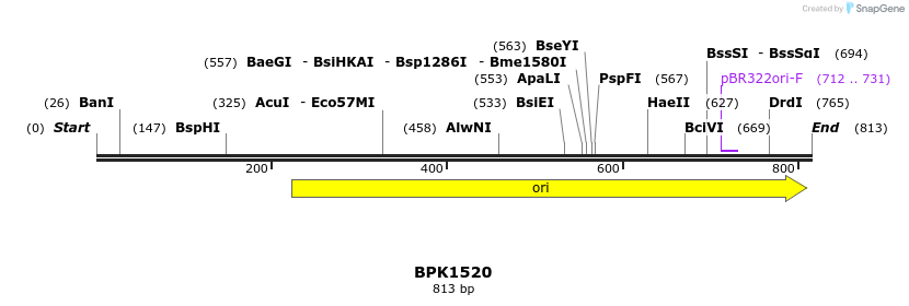 116167_map